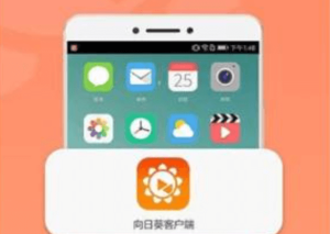 向日葵远程控制工具