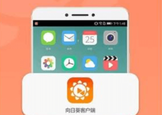 向日葵远程控制工具