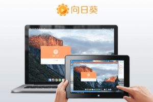 向日葵远程协助软件