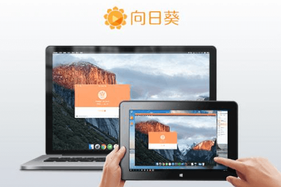 向日葵远程协助软件