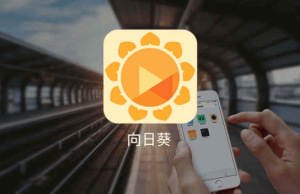 向日葵远程桌面连接