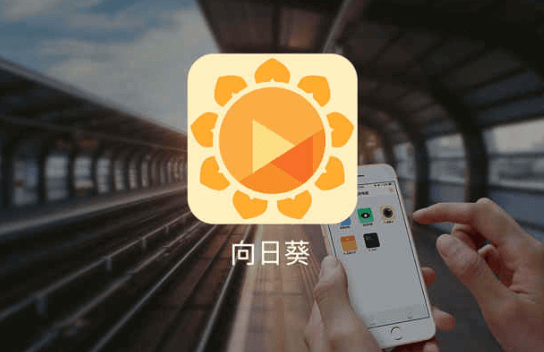 向日葵远程桌面连接